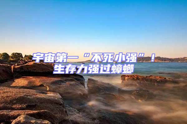 宇宙第一“不死小強”！生存力強過蟑螂