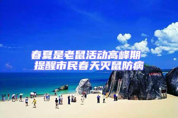 春夏是老鼠活動(dòng)高峰期 提醒市民春天滅鼠防病