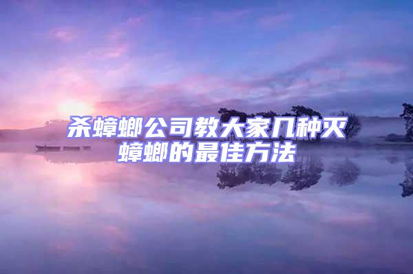 殺蟑螂公司教大家幾種滅蟑螂的最佳方法