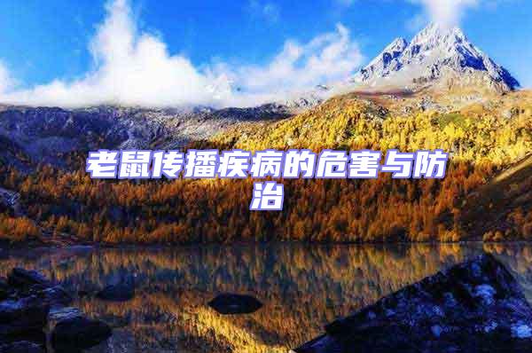 老鼠傳播疾病的危害與防治