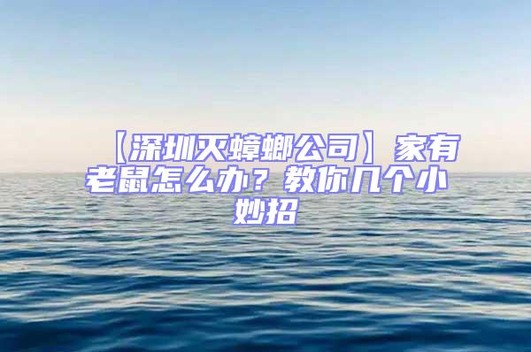 【深圳滅蟑螂公司】家有老鼠怎么辦？教你幾個小妙招
