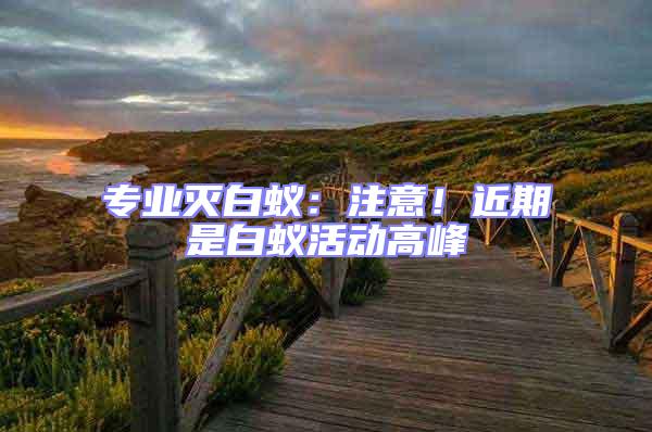 專業(yè)滅白蟻：注意！近期是白蟻活動(dòng)高峰