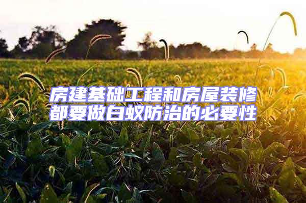 房建基礎工程和房屋裝修都要做白蟻防治的必要性