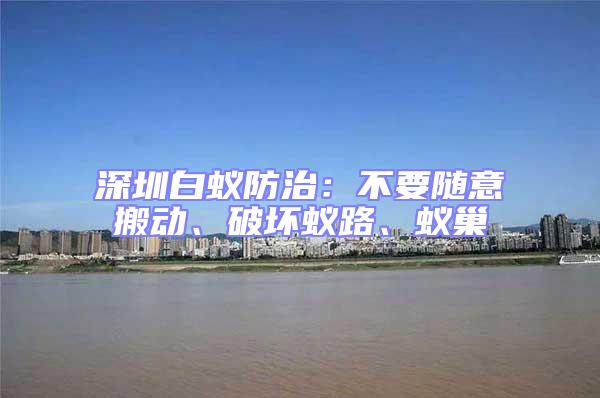 深圳白蟻防治：不要隨意搬動、破壞蟻路、蟻巢
