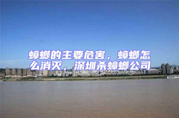 蟑螂的主要危害，蟑螂怎么消滅，深圳殺蟑螂公司