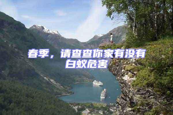 春季，請查查你家有沒有白蟻危害