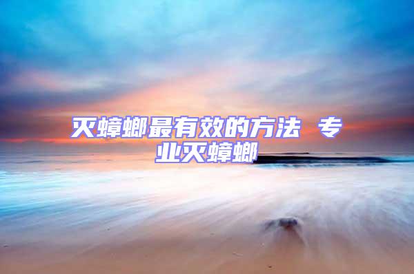 滅蟑螂最有效的方法 專業(yè)滅蟑螂