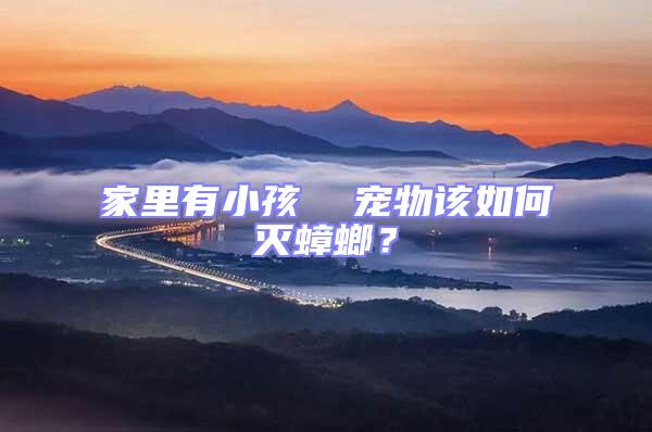 家里有小孩  寵物該如何滅蟑螂？