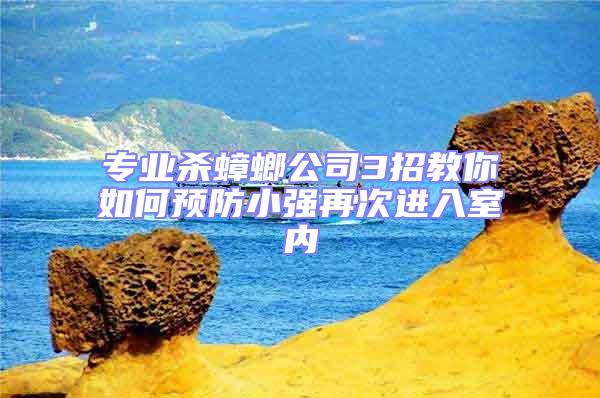 專業殺蟑螂公司3招教你如何預防小強再次進入室內