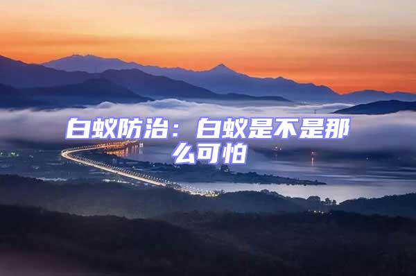 白蟻防治：白蟻是不是那么可怕