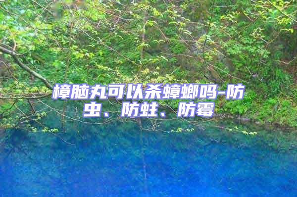 樟腦丸可以殺蟑螂嗎-防蟲、防蛀、防霉