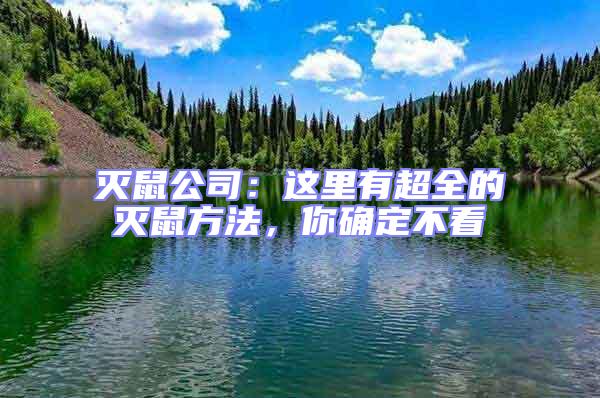 滅鼠公司：這里有超全的滅鼠方法，你確定不看