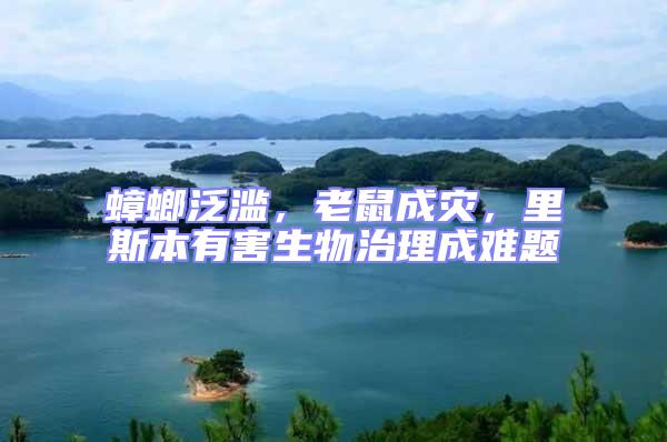 蟑螂泛濫,老鼠成災,里斯本有害生物治理成難題