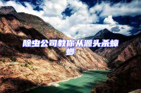 除蟲(chóng)公司教你從源頭殺蟑螂