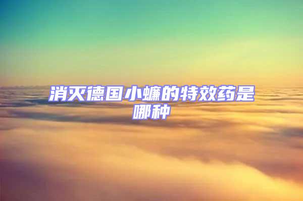 消滅德國小蠊的特效藥是哪種