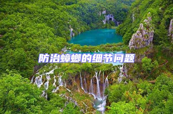 防治蟑螂的細(xì)節(jié)問(wèn)題