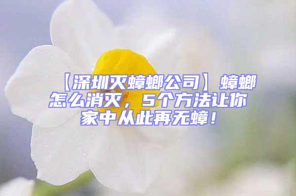 【深圳滅蟑螂公司】蟑螂怎么消滅，5個(gè)方法讓你家中從此再無蟑！