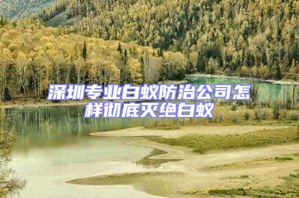 深圳專業白蟻防治公司怎樣徹底滅絕白蟻