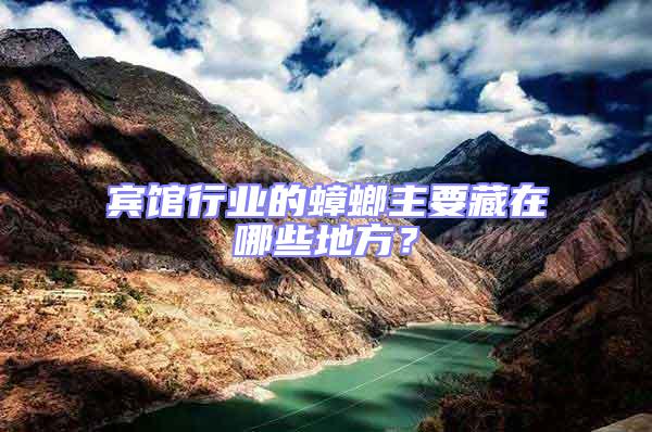 賓館行業的蟑螂主要藏在哪些地方？