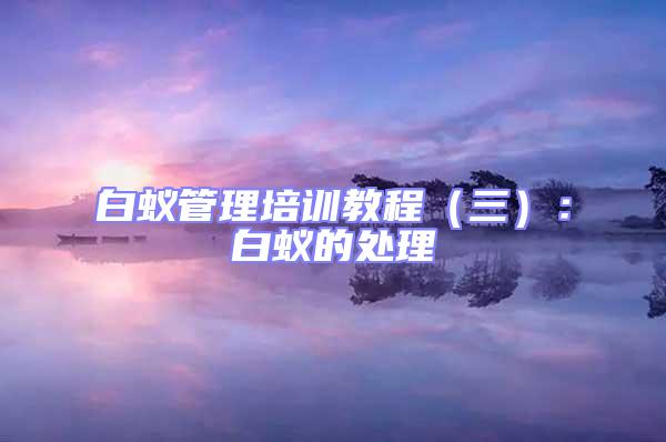 白蟻管理培訓教程（三）：白蟻的處理