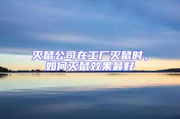 滅鼠公司在工廠滅鼠時(shí)，如何滅鼠效果最好