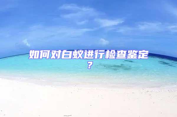 如何對白蟻進行檢查鑒定？