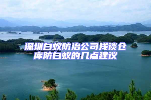 深圳白蟻防治公司淺談倉(cāng)庫(kù)防白蟻的幾點(diǎn)建議