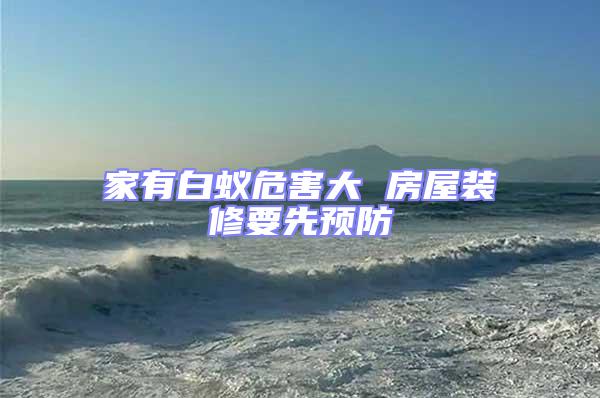 家有白蟻危害大 房屋裝修要先預防
