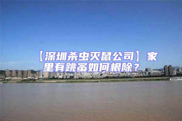 【深圳殺蟲滅鼠公司】家里有跳蚤如何根除？