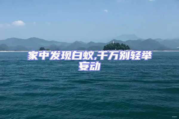 家中發現白蟻,千萬別輕舉妄動