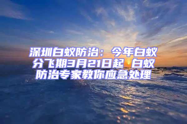 深圳白蟻防治：今年白蟻分飛期3月21日起 白蟻防治專家教你應急處理