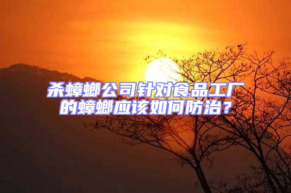 殺蟑螂公司針對食品工廠的蟑螂應該如何防治？