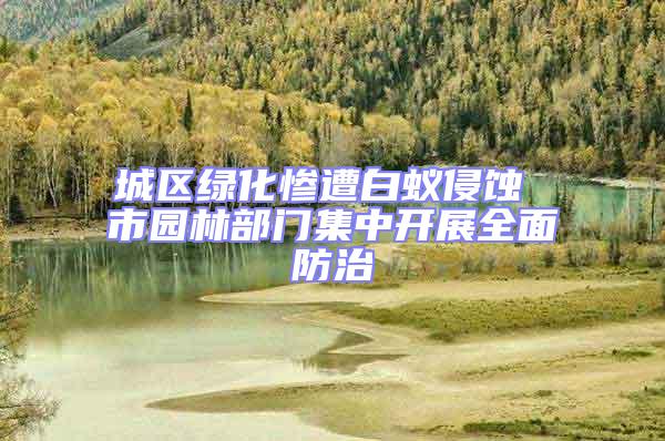 城區綠化慘遭白蟻侵蝕 市園林部門集中開展全面防治