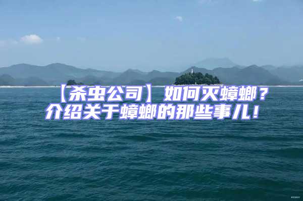 【殺蟲公司】如何滅蟑螂？介紹關(guān)于蟑螂的那些事兒！