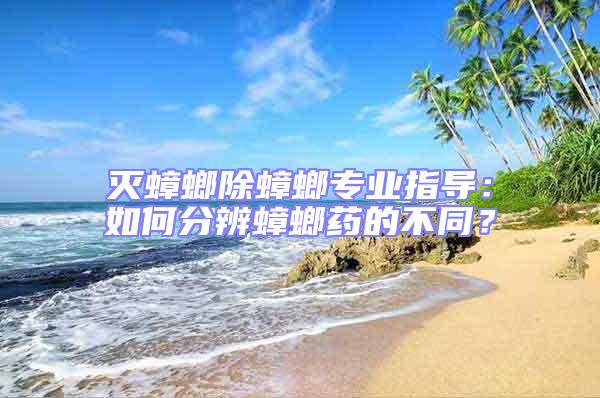 滅蟑螂除蟑螂專(zhuān)業(yè)指導(dǎo)：如何分辨蟑螂藥的不同？