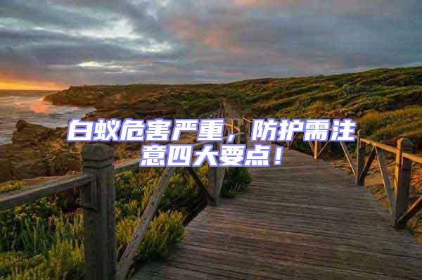 白蟻危害嚴重，防護需注意四大要點！