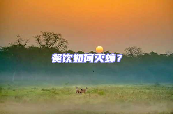 餐飲如何滅蟑？