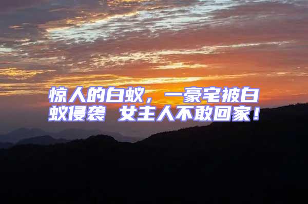 驚人的白蟻，一豪宅被白蟻侵襲 女主人不敢回家！