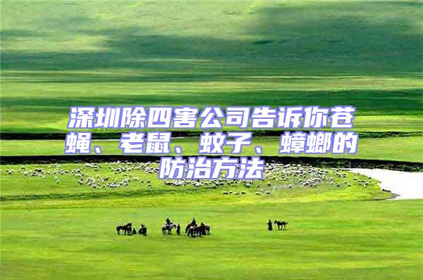深圳除四害公司告訴你蒼蠅、老鼠、蚊子、蟑螂的防治方法