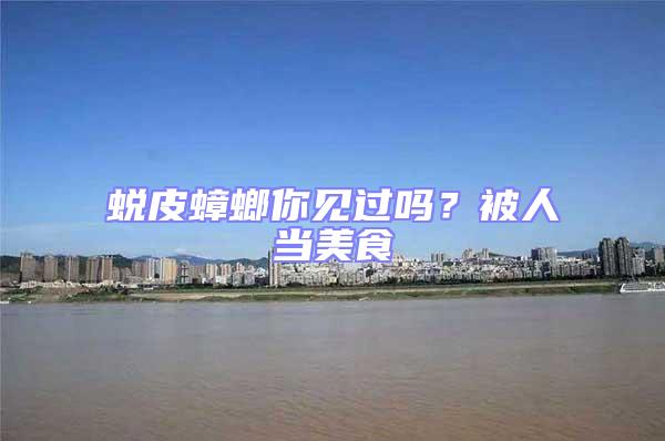 蛻皮蟑螂你見過嗎？被人當美食