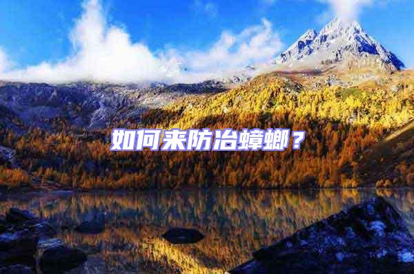 如何來防冶蟑螂？