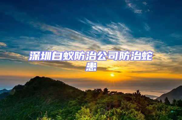 深圳白蟻防治公司防治蛇患