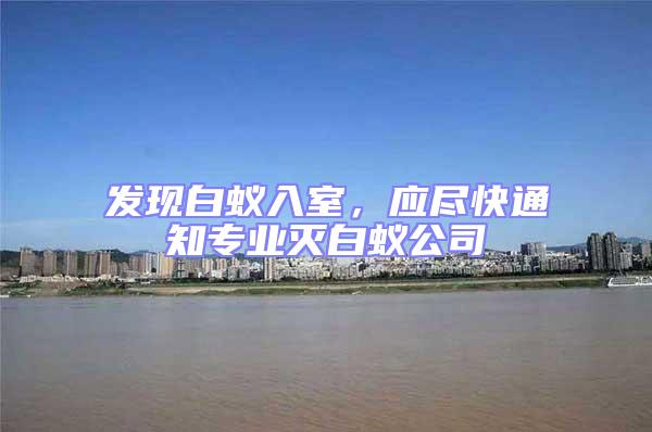 發(fā)現(xiàn)白蟻入室，應(yīng)盡快通知專業(yè)滅白蟻公司