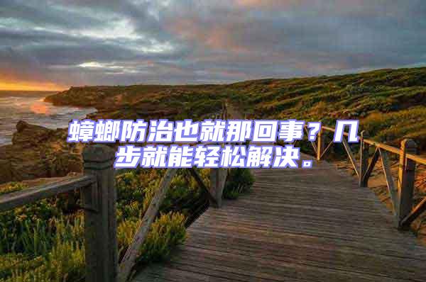 蟑螂防治也就那回事？幾步就能輕松解決。