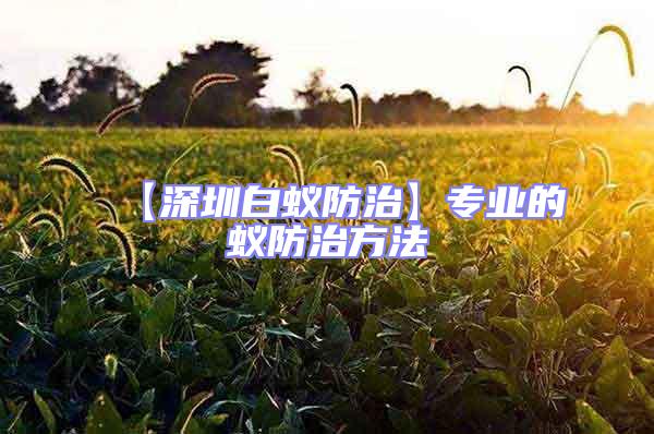 【深圳白蟻防治】專(zhuān)業(yè)的蟻防治方法