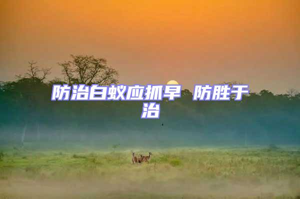 防治白蟻應抓早 防勝于治