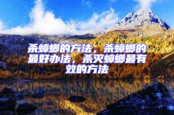 殺蟑螂的方法，殺蟑螂的最好辦法，殺滅蟑螂最有效的方法