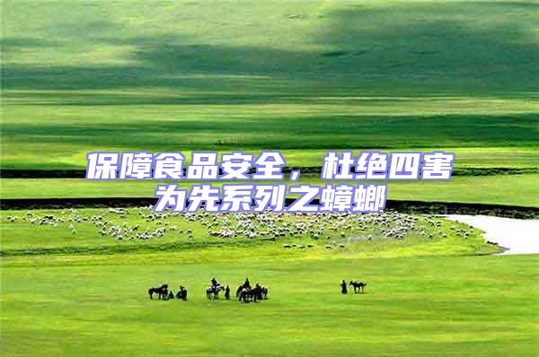 保障食品安全，杜絕四害為先系列之蟑螂