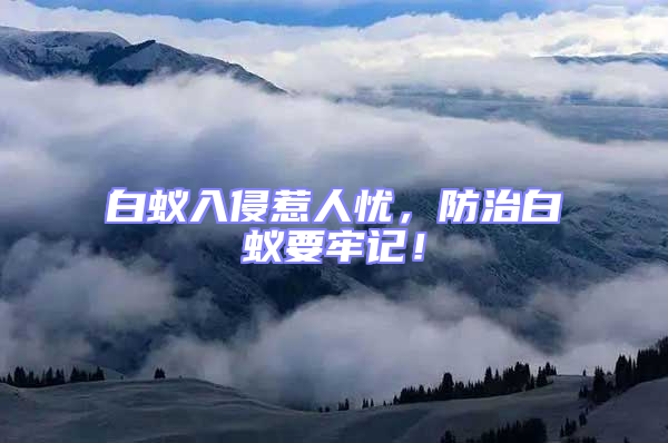 白蟻入侵惹人憂，防治白蟻要牢記！