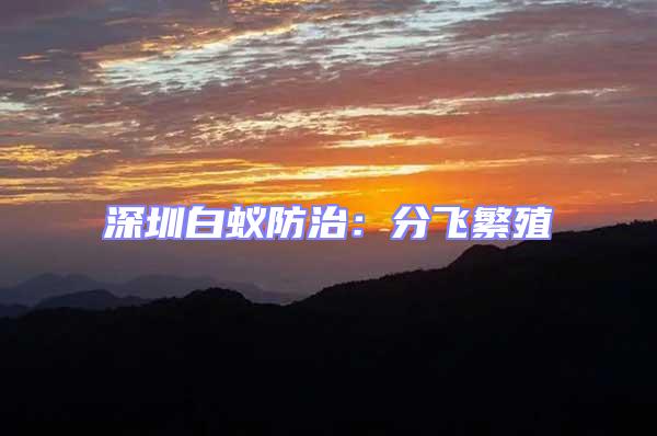 深圳白蟻防治:分飛繁殖